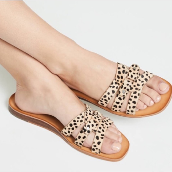 dolce vita cait leopard